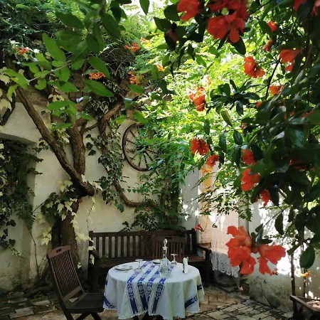 Bed & Breakfast Le Foglie Di Acanto