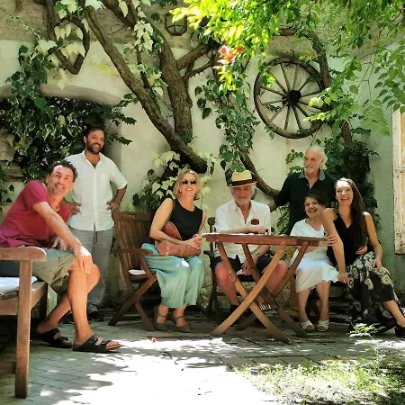 Le Foglie Di Acanto