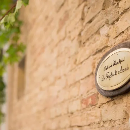 Le Foglie Di Acanto Bed & Breakfast